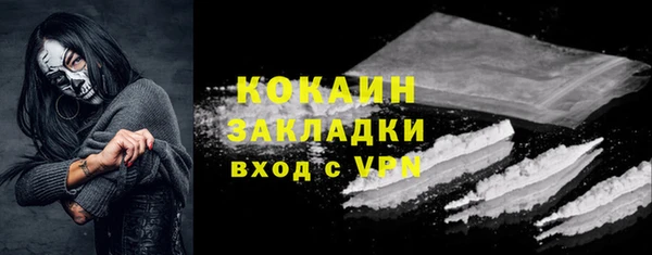 стафф Каменногорск