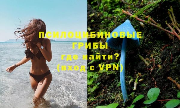 Альфа ПВП Покровск