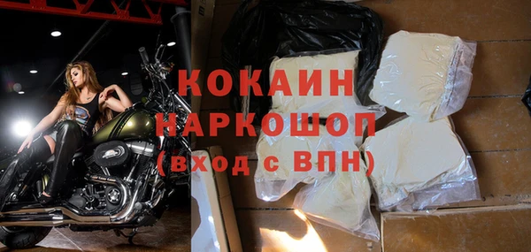 стафф Каменногорск
