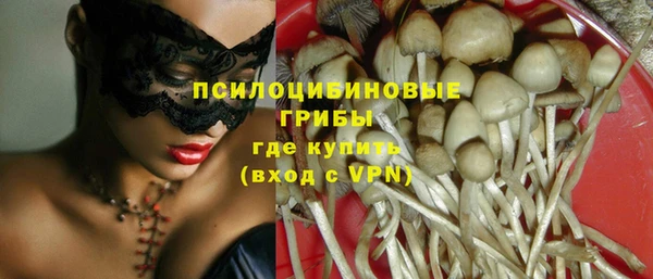 стафф Каменногорск