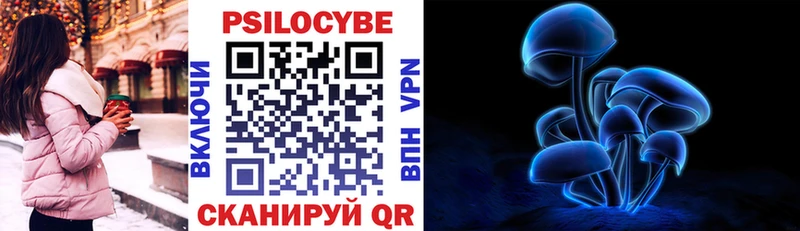 Псилоцибиновые грибы мухоморы  где купить наркоту  Комсомольск 